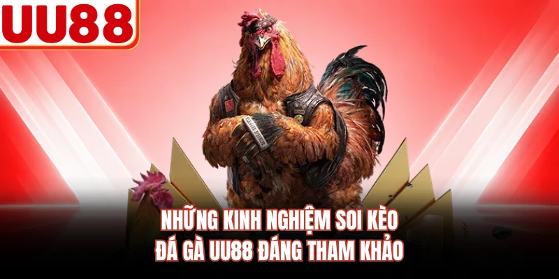Những kinh nghiệm soi kèo đá gà UU88 đáng tham khảo 